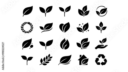 Icon 20leaf icon set line and fill. Tree and plant leaves, the Leaves icon collection, and designs for vegan, eco, natural, and bio labels. Vector illustration.