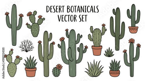 Hand drawn desert botanicals vector set featuring blooming saguaro cactus, succulents, and tropical desert plants in terracotta pots for nature design