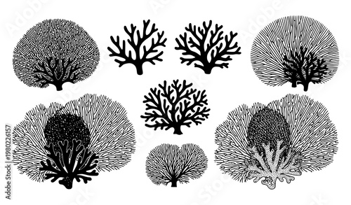 A set of black and white coral reef illustrations in various styles