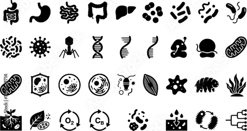 Microbiome Ecosystem Icons. Outline icon set of microbiome ecosystem: gut flora, soil bacteria, plant root,
