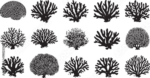 Collection of various coral reef silhouettes and illustrations
