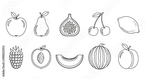 A collection of simple, clean line art illustrations featuring various fruits, perfect for educational or design purposes
