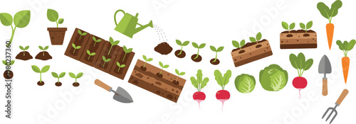 Gardening Process Illustration Set with Plant Growth Stages Soil Planting Watering Tools Vegetables Harvest and Organic Farming Vector Collection