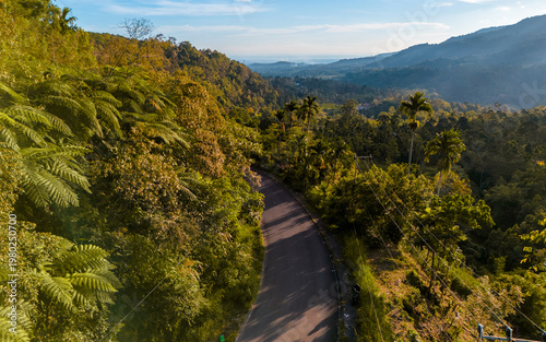 Winding road through lush green hills at sunrise in a serene mountainous region