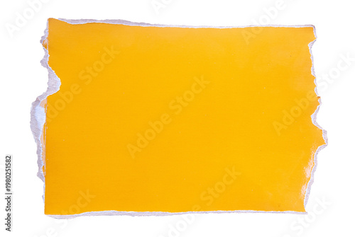 yellow piece paper with torn edges