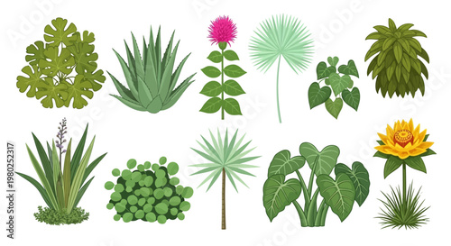 A vibrant collection of diverse green plants and exotic foliage, featuring a variety of botanical elements for garden and nature designs