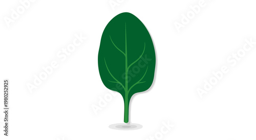 Green leaf plant nature element.