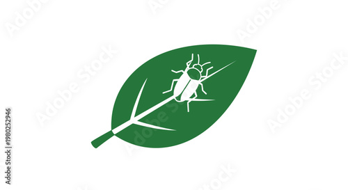 Green leaf with white insect.