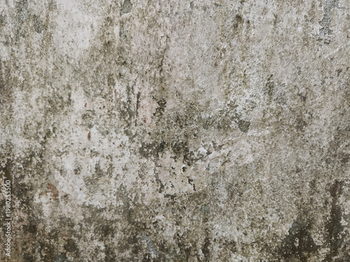 Fotografi Closeup of textured tree bark surface.