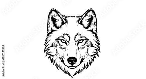 Detailed black and white wolf head line art illustration