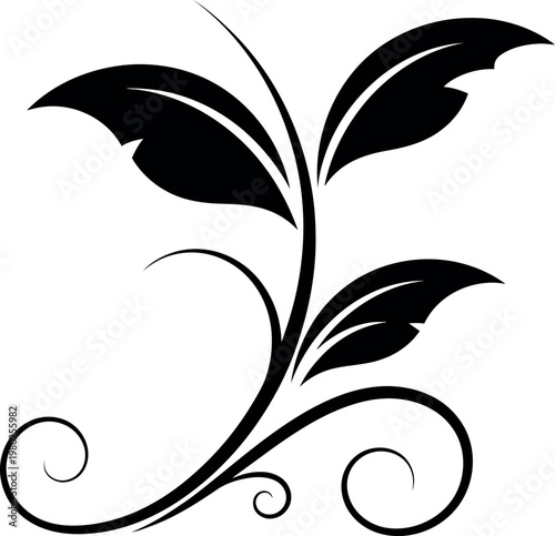 Elegant floral silhouette design isolated on transparent background