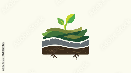 Cross-Section of Soil with a Growing Plant
