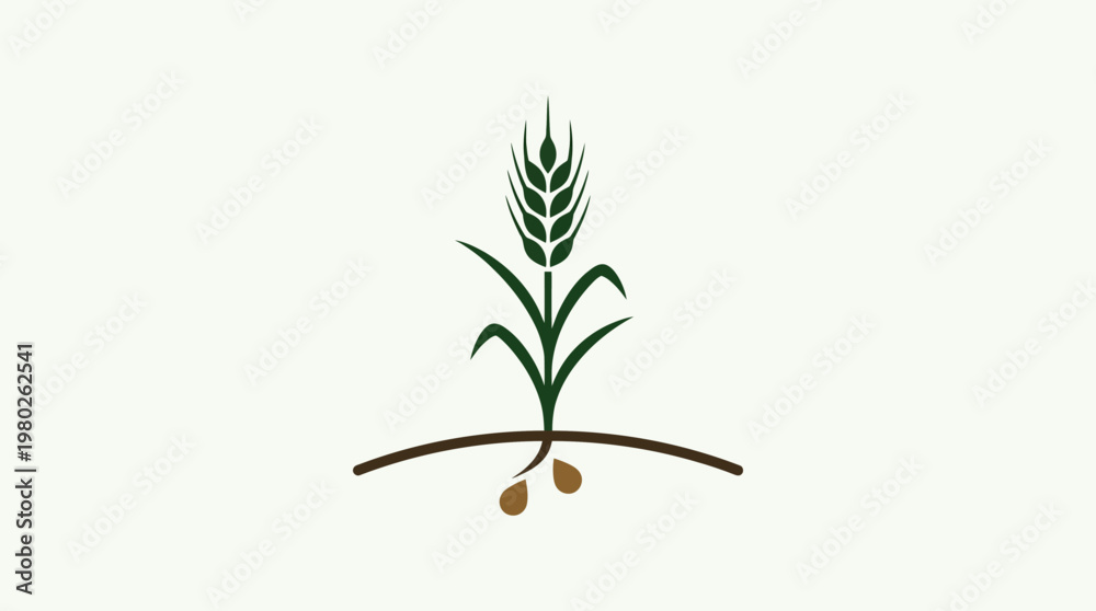Fototapeta premium Wheat Plant Logo or Symbol on White
