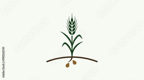 Wheat Plant Logo or Symbol on White