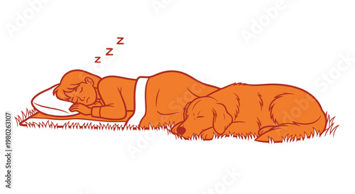 Child and golden retriever dog sleeping peacefully on grass
