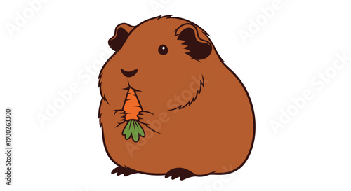 Cute brown guinea pig eating a small orange carrot