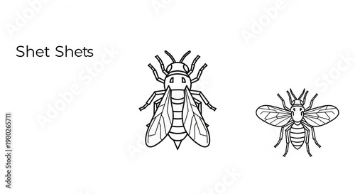 Line Art Illustration of Two Bees, One Large and One Small, Isolated on White Background