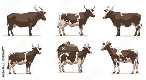 Brown and white cows standing still.