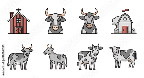 Cows and bulls farm animals.