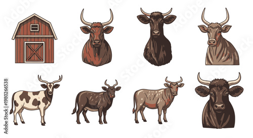 Cows and bulls in different poses.