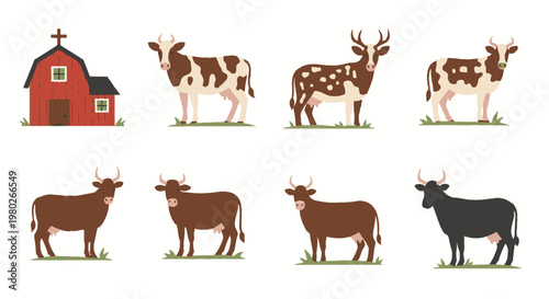 Cows and bulls in farm setting 1.