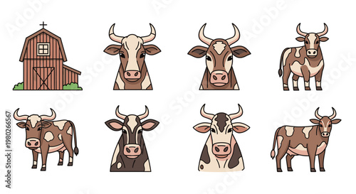 Cows and bulls in farm.