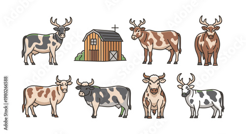 Cows and bulls standing side by side.