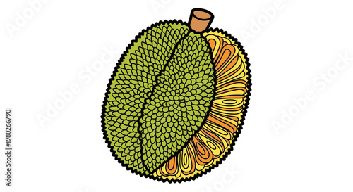 Durian Fruit Close Up View.