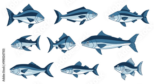 Group of Tuna Fish Swimming Together.