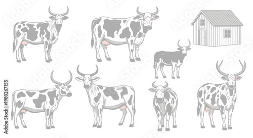 Herd of cows with large horns.