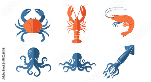 Seafood Crustaceans and Cephalopods Collection.