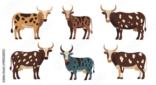 Six Cows With Different Colored Coats.