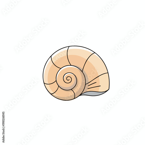 Elegant Seashell Illustration for Marine Themed Design Projects
