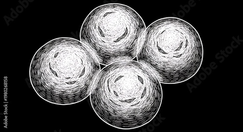 Four interconnected spherical shapes with textured, swirling interiors on a black backdrop