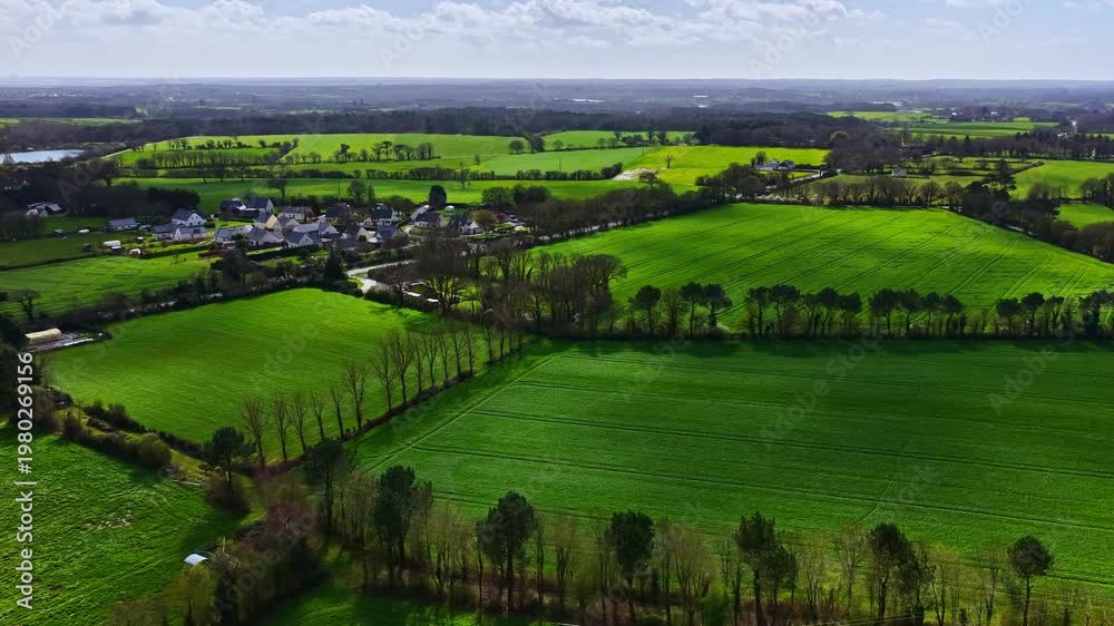 Bright green agricultural fields with hedgerows trees and small village ...