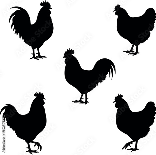 Silhouettes of roosters and hens against a plain white background