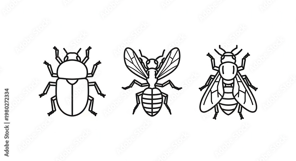 Obraz premium Set of three insect icons: beetle, bee, and fly, line art, isolated on white background.