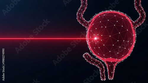 Abstract illustration of the human urinary system with a laser beam, representing medical treatment or diagnostics