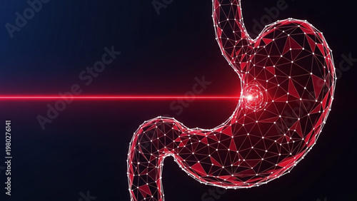 World Digestive Health Day Medical illustration of a human stomach with a red laser beam focused on a problem area, representing medical treatment or diagnosis