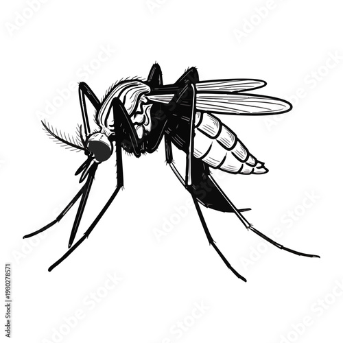 A detailed black and white illustration depicts a mosquito in a side profile view highlighting its