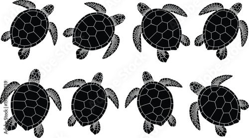Sea turtle silhouettes collection with detailed shells and flippers, marine animal vector set isolated on white background for ocean design