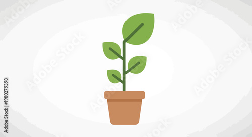 Green plant growing in a pot, flat design, concept of growth and nature