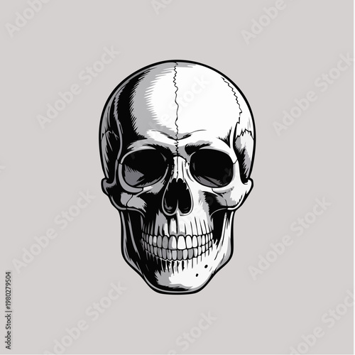 Skull Portrait Illustration For Graphic Design.