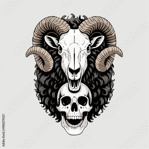 Ram skull illustration with dramatic horns.