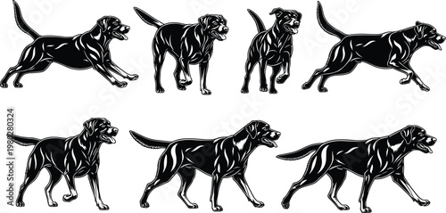 Dog silhouettes collection with different poses, detailed domestic canine vector set isolated on white background for pet and animal design