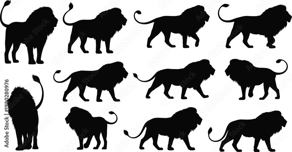Obraz premium Lion silhouettes collection with different poses, detailed wild animal vector set isolated on white background for wildlife and safari design