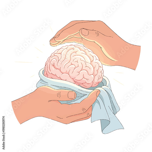 Hands holding a human brain gently.
