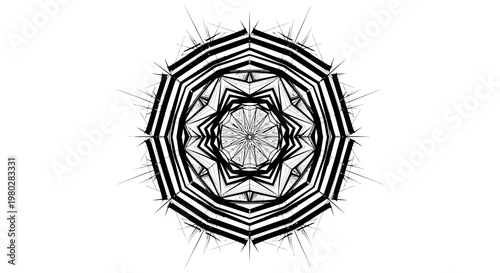 Intricate black and white geometric mandala design.