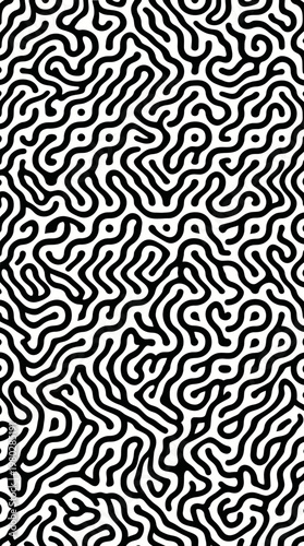 Abstract black and white squiggly line pattern with labyrinthine curves and high-contrast texture.
