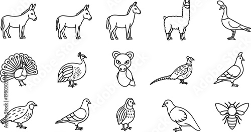 Hand-drawn Animal Line Art Collection: Donkey, Horse, Llama, Pigeon, Peacock, Owl, and More for Animal Enthusiasts
